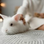 Pets Are Life - Tiny Tangles: Navigating Grooming Slip-Ups for Small Animal Companions